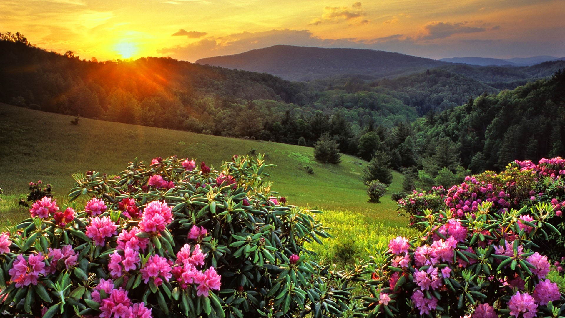 Beautiful Mountain Top Sunset Wallpaper - High Definition, High