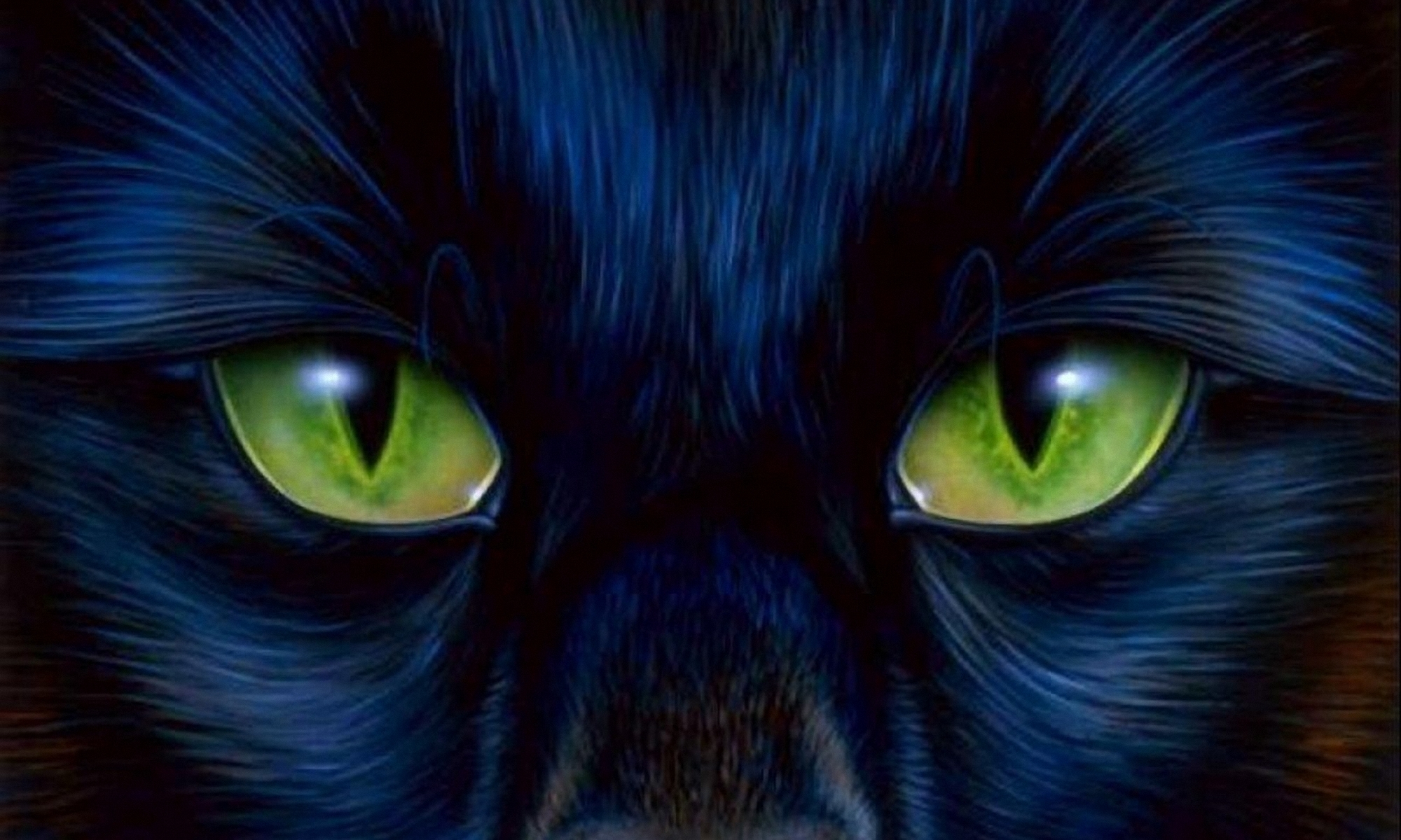 Green Cats Eyes Hd Wallpapers